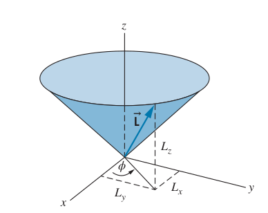Uncertainty in Angular Momentum Visualized as Cone